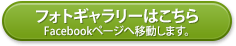 フォトギャラリーはこちら